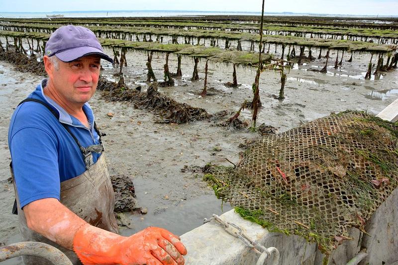 L'entreprise familiale à Saint Méloir des Ondes propose la livraison et le retrait de la vente d'huîtres