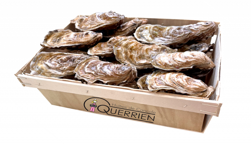 Vente en ligne de bourriches huîtres numéro 0 de Cancale